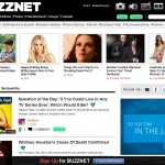 Social Networks-Buzznet