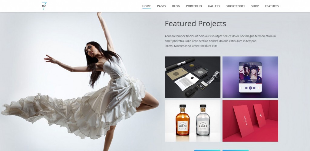 The7 Parallax WordPress Themes